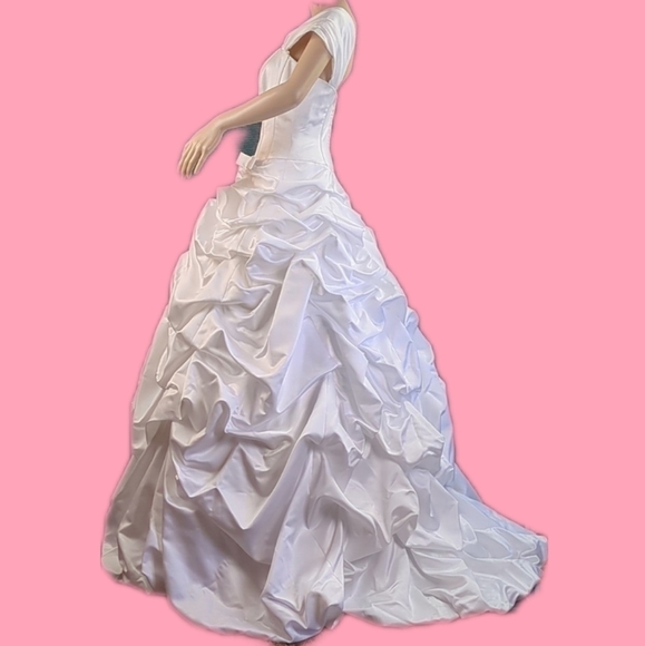 David's Bridal Wedding Dress - Picture 3 of 16